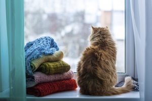 how to get hard water stains off of your windows